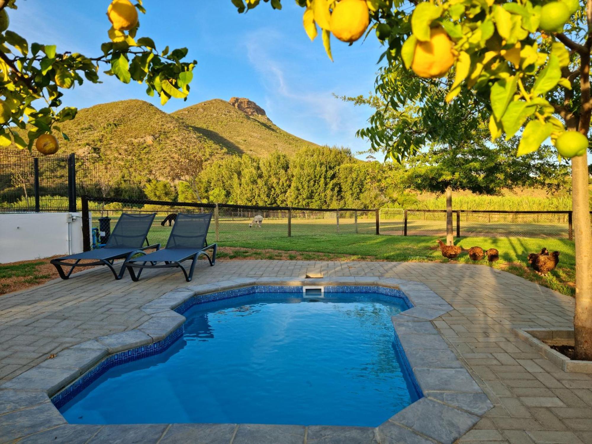 Klawerjas Flute Cottage Robertson Εξωτερικό φωτογραφία