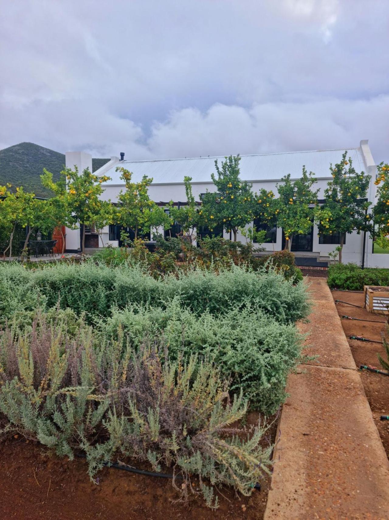 Klawerjas Flute Cottage Robertson Εξωτερικό φωτογραφία